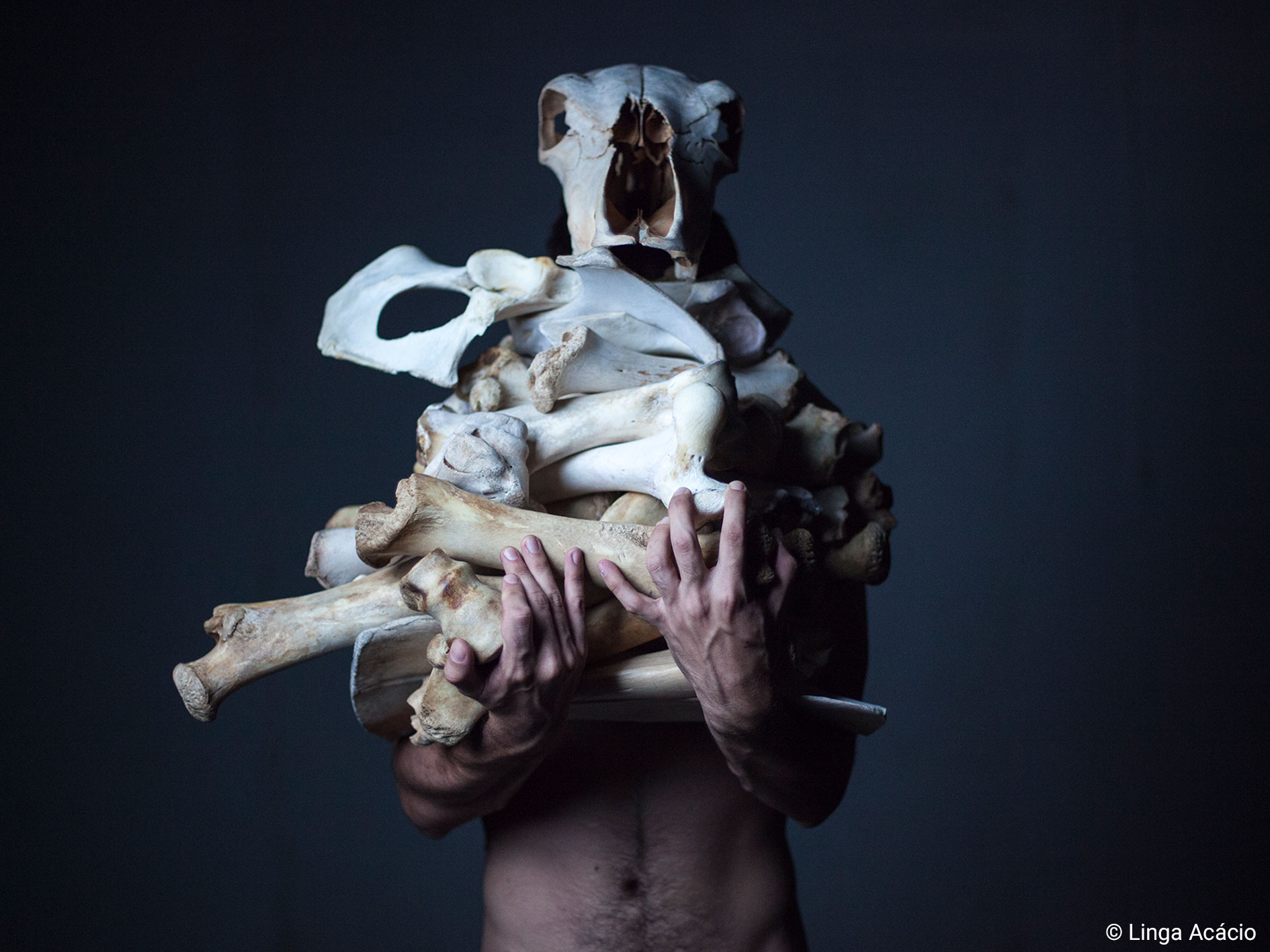 The image shows a bare-chested person, partially in darkness, holding a large number of big animal bones — including a skull — lit dramatically, creating strong contrast and a mysterious atmosphere.